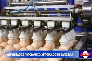 Alimentador automático modelo ABY-670