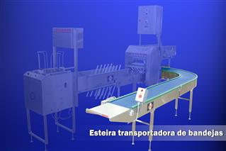 tray conveyor belt