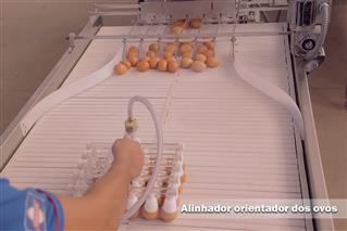 Egg guiding aligner