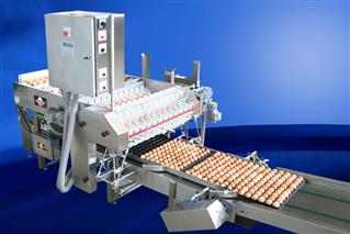 Trayer for fertile eggs