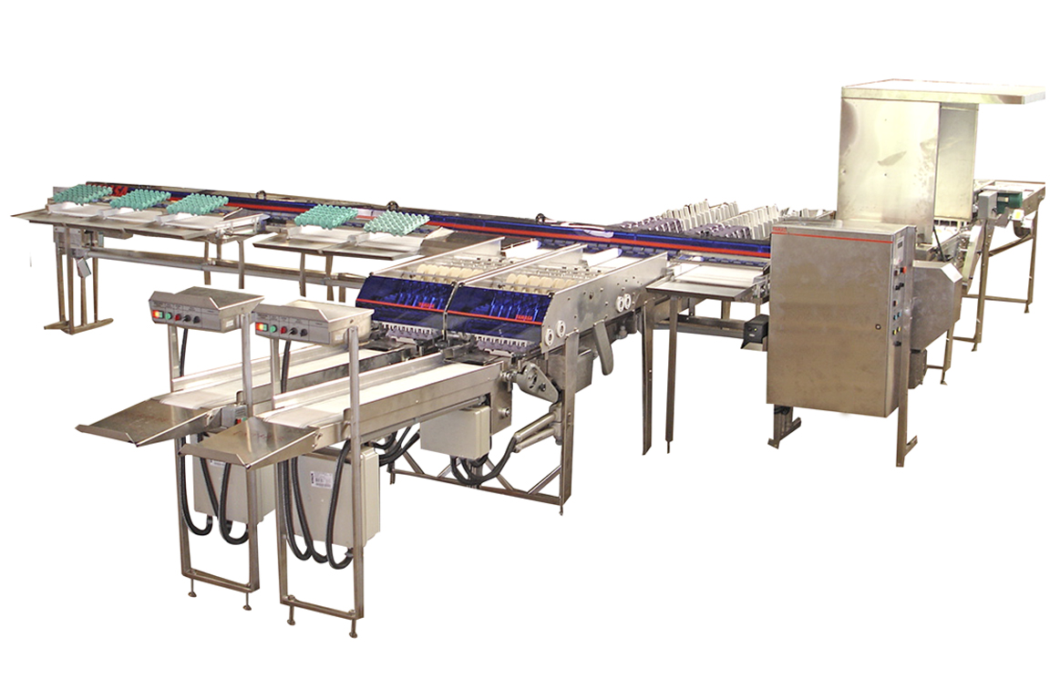 Products - Yamasa CHS-30.600 with EOB-2.0 egg aligner and packer