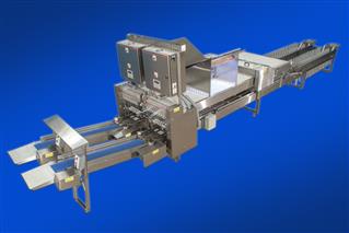 Yamasa EOC - 36.48 - Quail egg packing machine