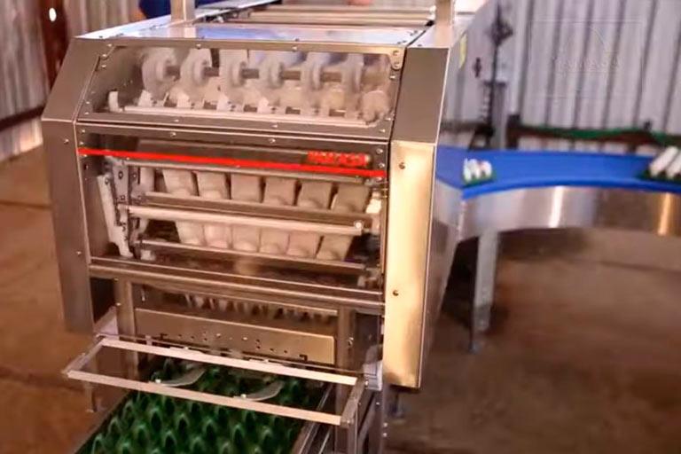 Farm Multipacker Productos - Empacadora agrícola 100D Farmpacker